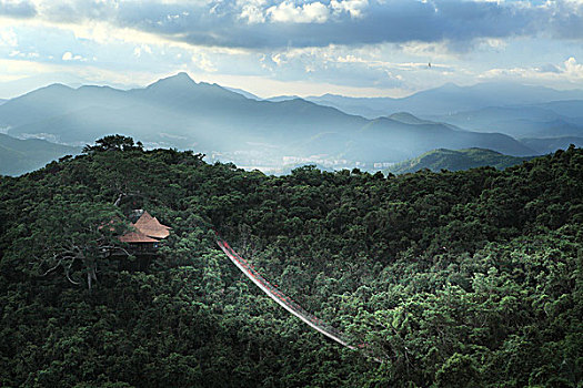 三亚热带天堂森林公园