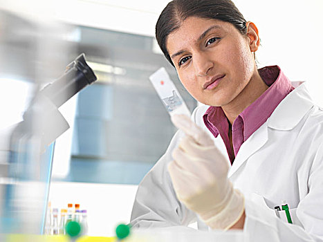 女性,科学家,实验室,验血,样品,显微镜