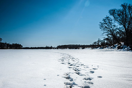 脚印,雪地