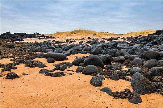 沙滩,黑色,石头,冰岛,靠近,小镇,斯奈山半岛