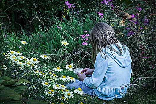女孩,坐,花,花园