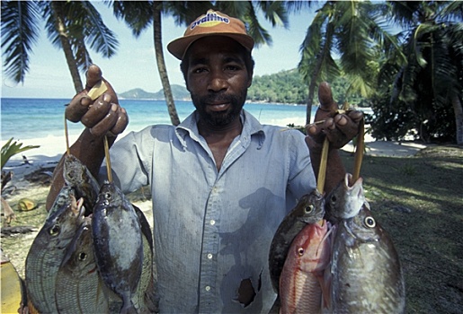 印度洋,塞舌尔,捕鱼