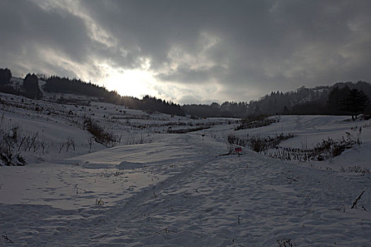 雪乡,雪村,吉林,临江市,村庄,山村,乡村,冬季,雪野,寒冷,农家,接待,旅游,松岭,东北,风情