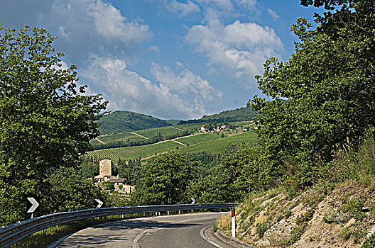 乡间道路,靠近,托斯卡纳,意大利