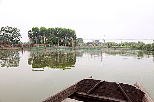 鹤山,古劳,水乡