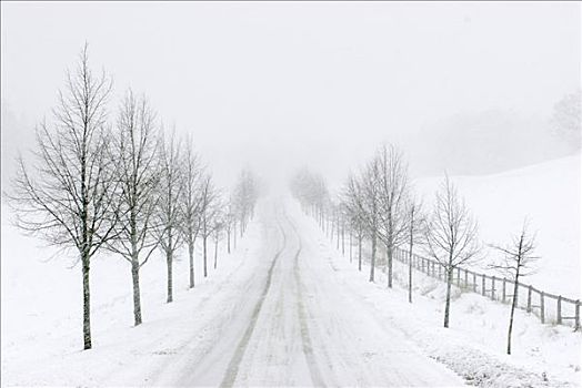 空,冬天,道路,瑞典