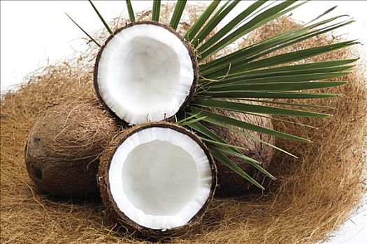 椰子,一个,平分,棕榈叶