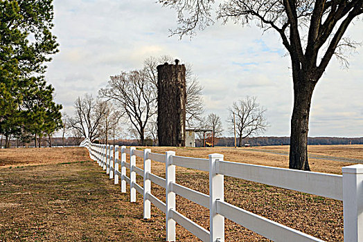 栅栏,藤,遮盖,背景,阿肯色州,美国