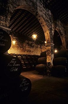 雪利酒,地窖,葡萄酒厂,安达卢西亚,西班牙