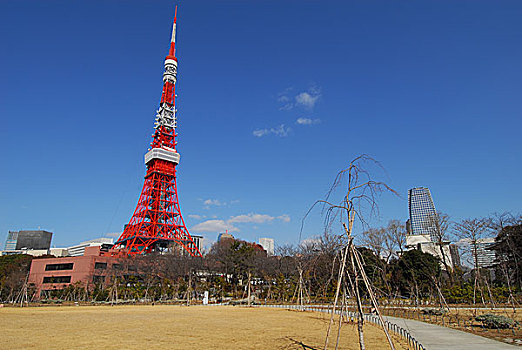 东京,铁,塔