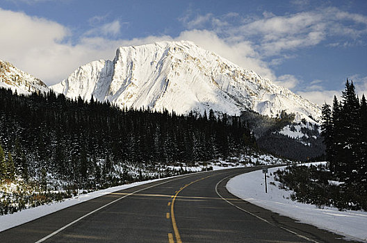 公路,卡纳纳斯基斯县,艾伯塔省,加拿大