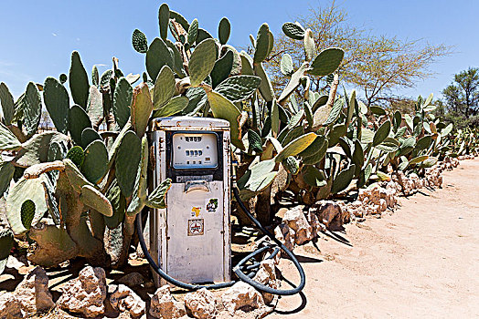 老,加油泵,无花果,仙人掌,加油站,沙漠,乡村,纳米比沙漠,纳米比亚,非洲
