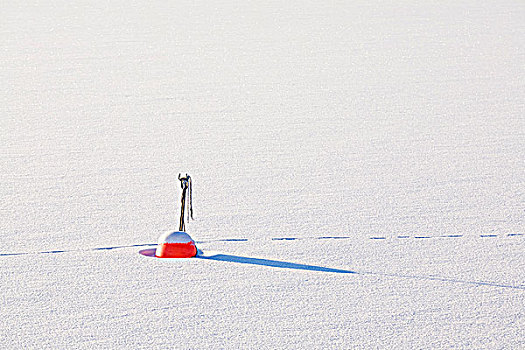 浮漂,雪中