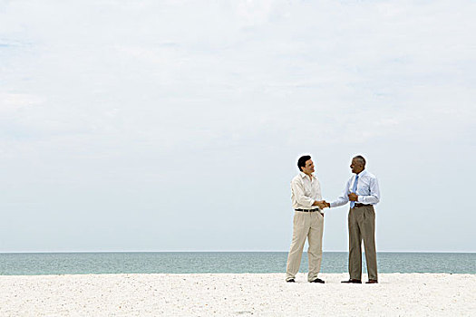两个,商务人士,握手,海滩
