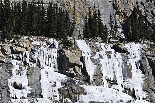 冰瀑,班芙国家公园,艾伯塔省,加拿大