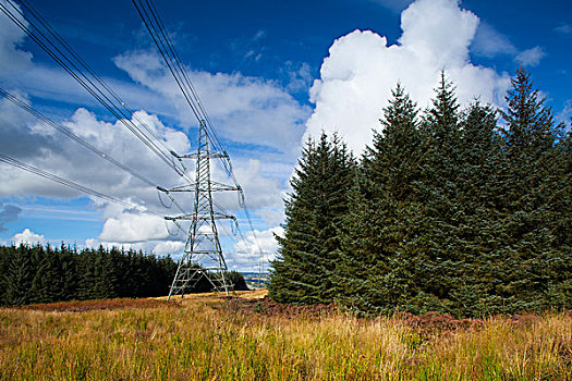 电线,木头,诺森伯兰郡,东北方,英格兰
