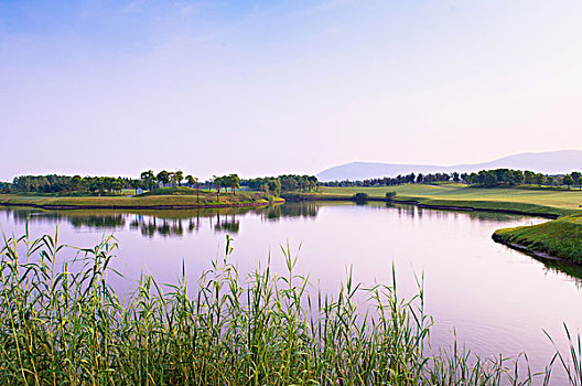 高尔夫球场湖泊景色