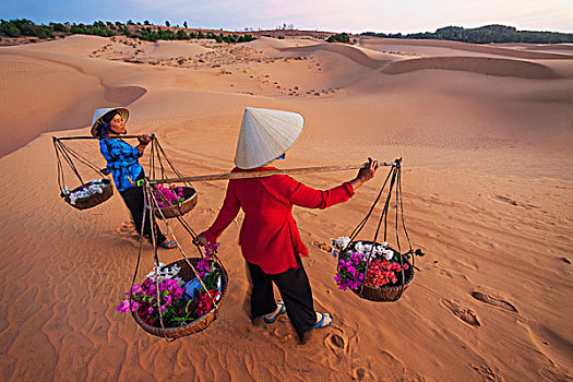 越南,美尼,沙丘,女人,锥形,帽子