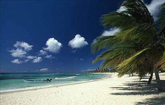 棕榈海滩,绍纳岛,多米尼加共和国,加勒比海