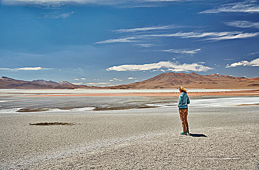 女人,站立,观景,泻湖,波托西地区,玻利维亚,南美
