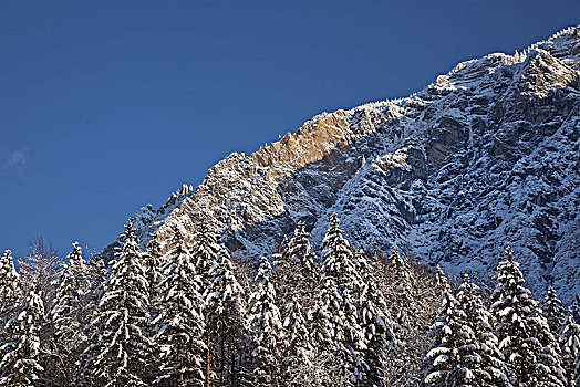 冬天,山,看,上巴伐利亚,巴伐利亚,德国