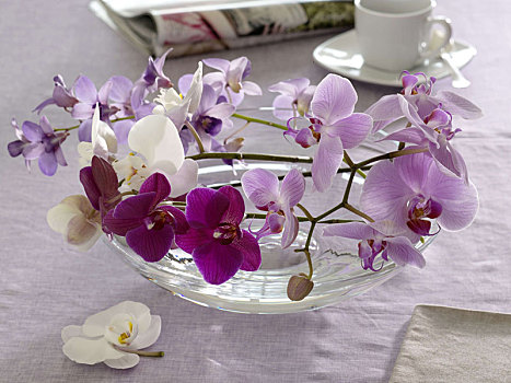 兰花,玻璃碗,桌饰