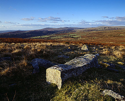 英格兰,德文郡,秋天,风景,达特姆尔高原,国家公园