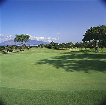 夏威夷,毛伊岛,胜地,高尔夫球场,蓝色,场地