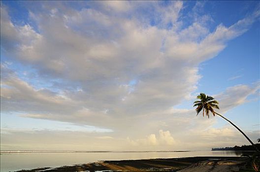 海滩,拉罗汤加岛,库克群岛