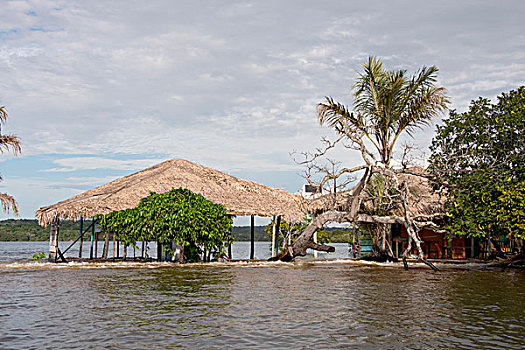 巴西,亚马逊河,著名,海滩,高度,小屋,水下,大幅,尺寸