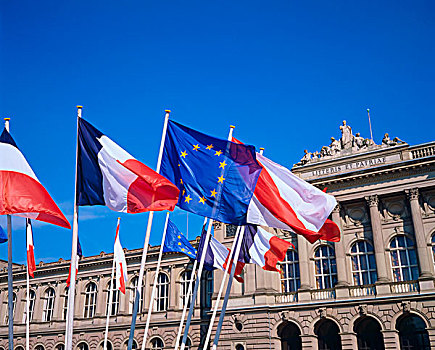 法国,欧洲,旗帜,正面,大学,斯特拉斯堡,阿尔萨斯