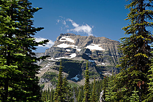 山峰,框架,树,蓝天,沃特顿,艾伯塔省,加拿大