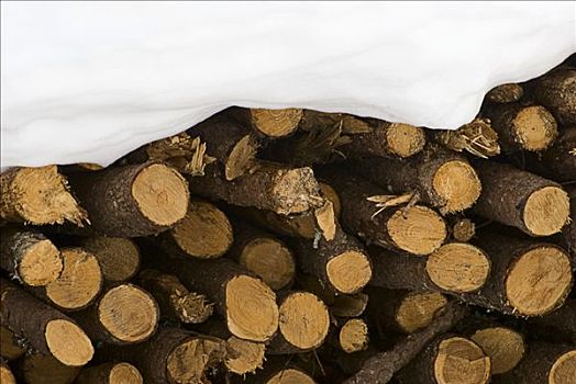 一堆,木柴,积雪,格劳宾登州,瑞士,欧洲