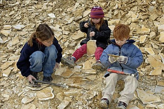 艾希斯泰特,上巴伐利亚,德国,孩子,收集,寻找,化石