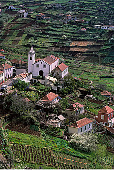 俯视,乡村,风景,马德拉岛,葡萄牙