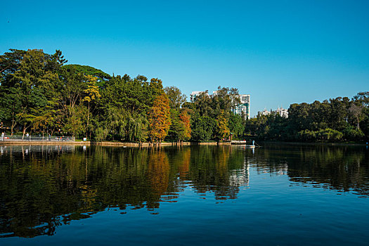 羊城广州天河公园初冬美景