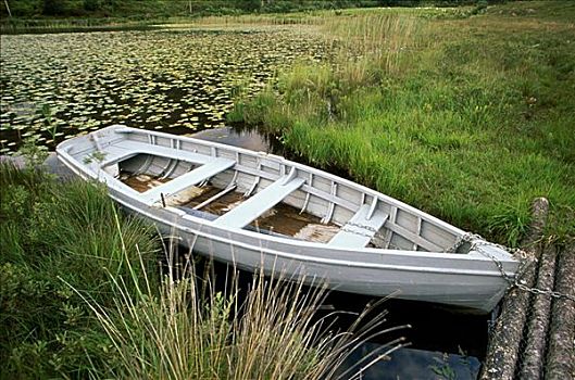 俯拍,划桨船,湖,爱尔兰
