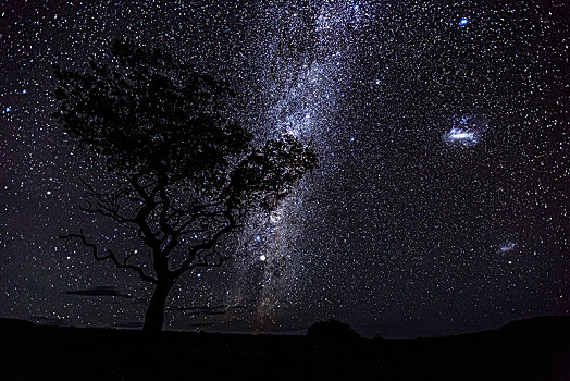 银河,非洲,夜空,刺槐,达马拉兰,区域,纳米比亚