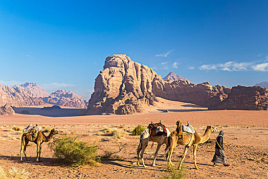 三个,骆驼,沙漠,石头,山,远景