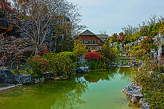 上海宝山炮台湾湿地公园风光