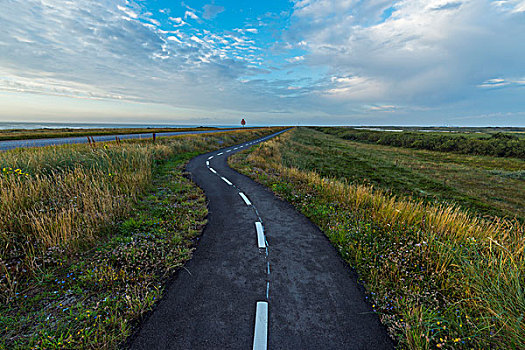 弯曲,海岬,早晨,国家公园,北方,日德兰半岛,丹麦