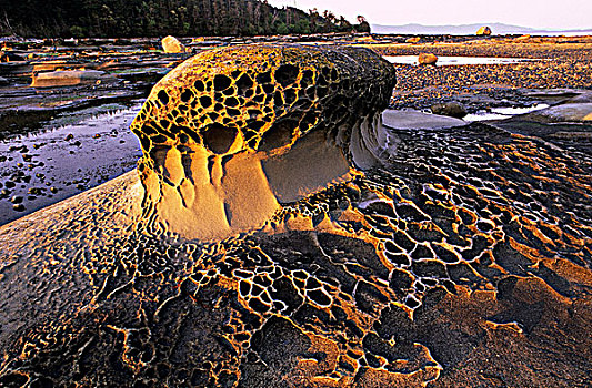 侵蚀,砂岩,苍鹭,石头,海湾群岛,不列颠哥伦比亚省,加拿大