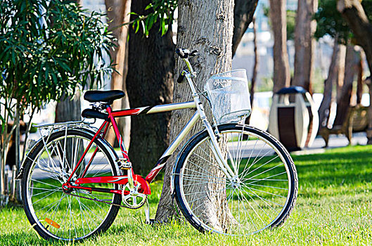 自行车,公园