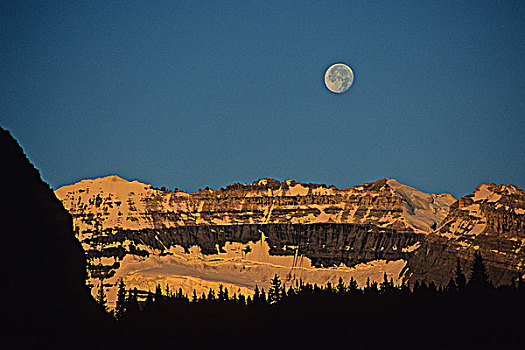 月亮,上方,维多利亚山,早晨,高山辉,路易斯湖,班芙国家公园,艾伯塔省,加拿大