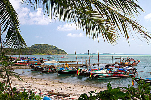 渔船,岛屿,苏梅岛,泰国