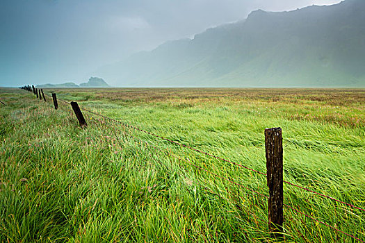 雾,上方,土地,高草,木篱,柱子,山峦,背景,冰岛