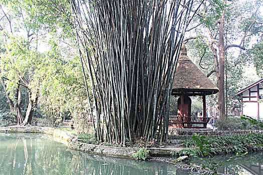 成都,古迹,建筑,旅游,景点,街道,商铺,杜甫草堂