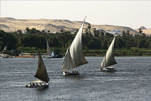 三桅小帆船,传统,帆船,尼罗河,靠近,阿斯旺,埃及,非洲