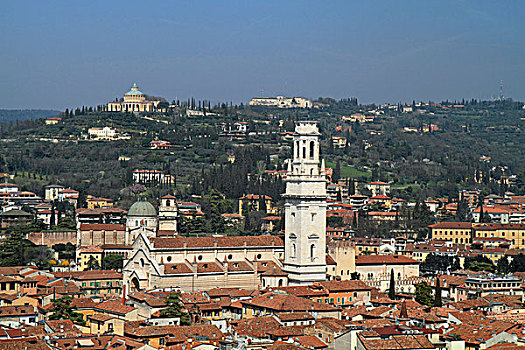 风景,塔,大教堂,维罗纳,威尼托,区域,意大利,欧洲