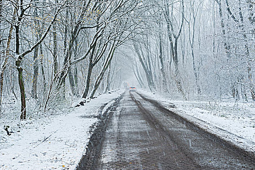 雪地白茫茫林间小路